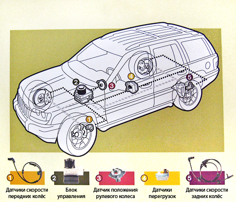 Схема расположения блоков ESP на автомобиле